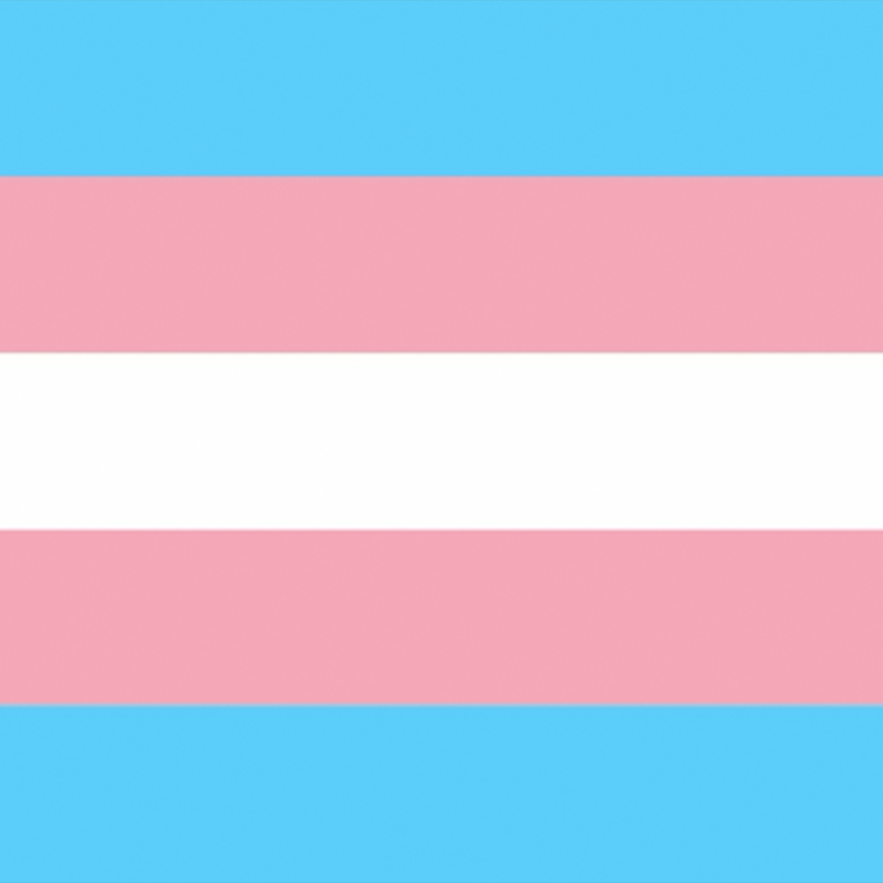 Transgender Flag Design Mousepad Deskmat