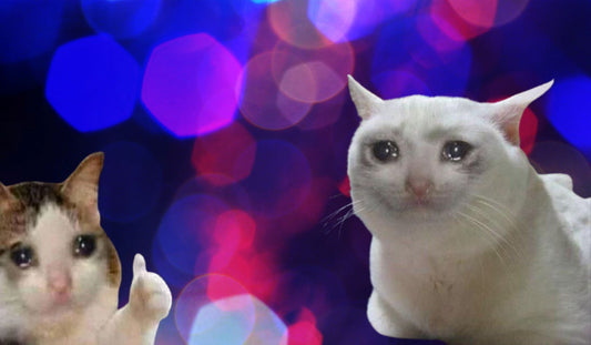 Sad Cats Deskmat Playmat Mousepad