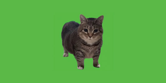 Oiia Oiia Cat Meme Deskmat Playmat Mousepad