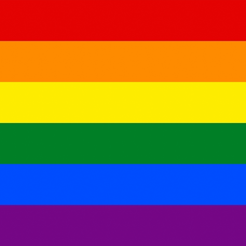 6-Color Pride Flag Design Mousepad Deskmat