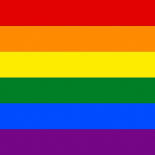 6-Color Pride Flag Design Mousepad Deskmat