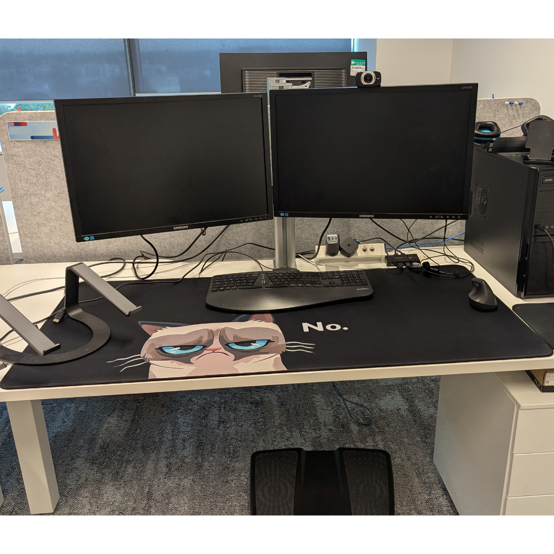 Meme mousepad deskmat Grumpy cat 